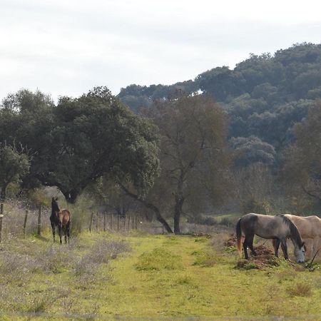 Herdade Ribeira De Borba Villa Vila Viçosa Kültér fotó