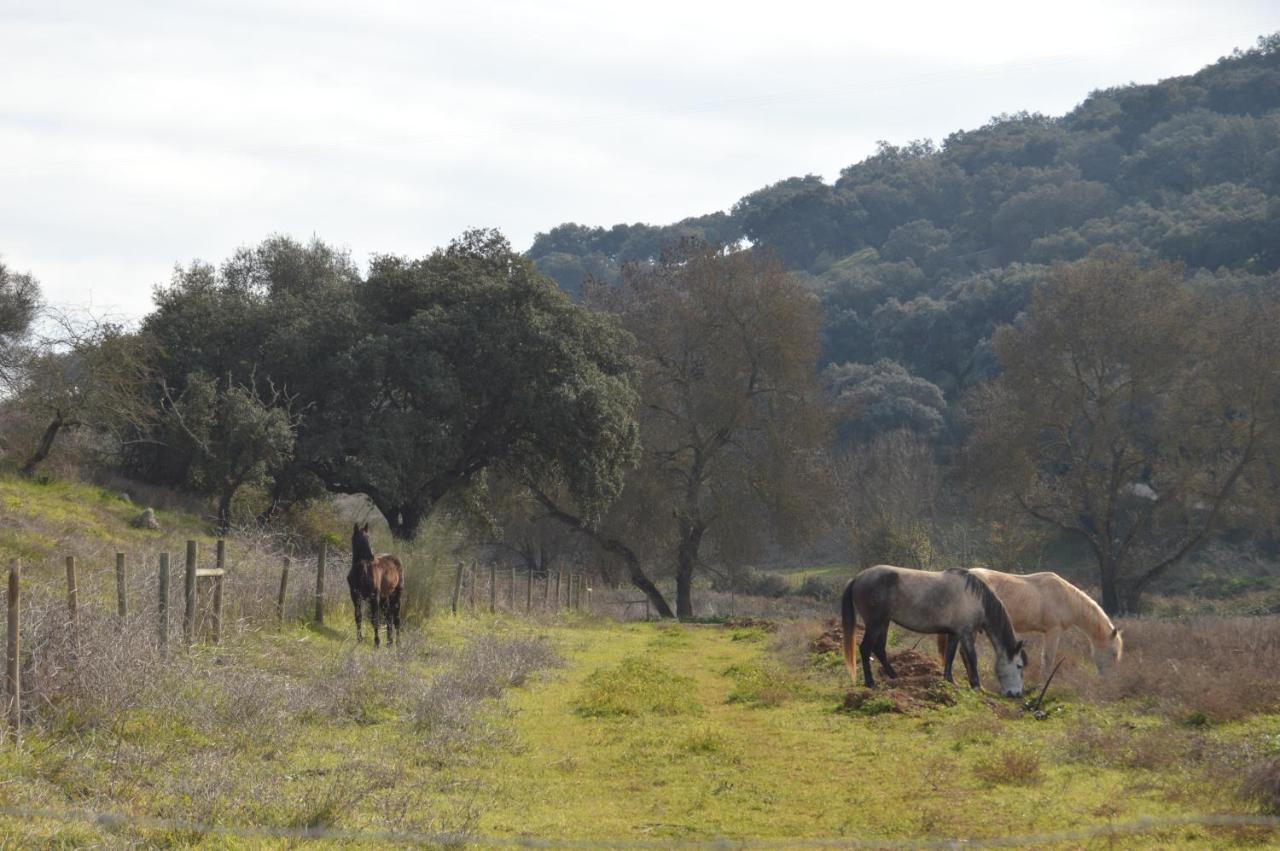 Herdade Ribeira De Borba Villa Vila Viçosa Kültér fotó